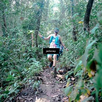 Runner Photo 5245188