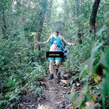 Runner Photo 5245192