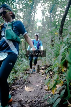 Runner Photo 5245221