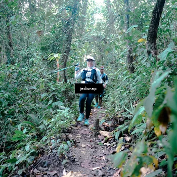 Runner Photo 5245257