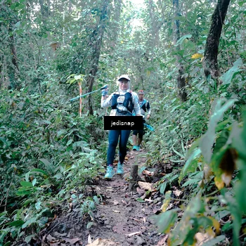 Runner Photo 5245263