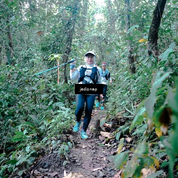 Runner Photo 5245264