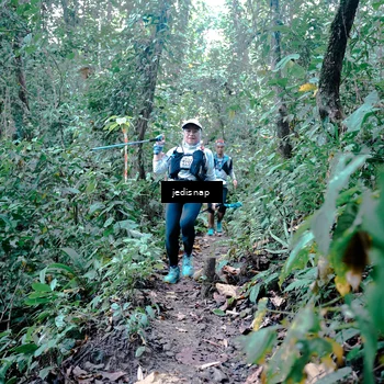 Runner Photo 5245267