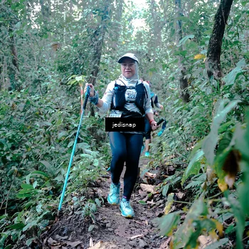 Runner Photo 5245274