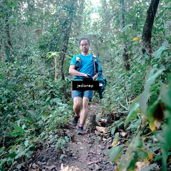 Runner Photo 5245308