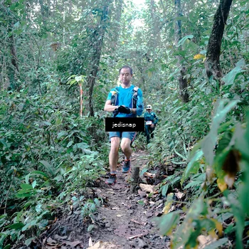 Runner Photo 5245314