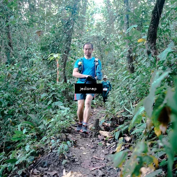 Runner Photo 5245316