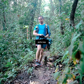Runner Photo 5245319