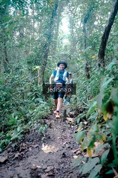Runner Photo 5245393