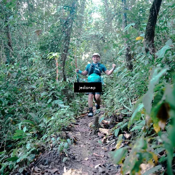 Runner Photo 5245430