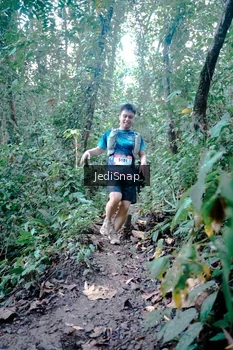 Runner Photo 5245485