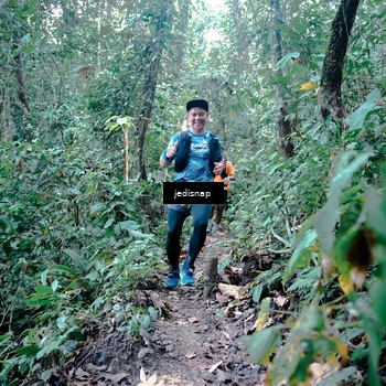 Runner Photo 5245511