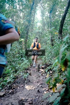 Runner Photo 5245523