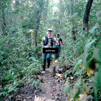 Runner Photo 5245586