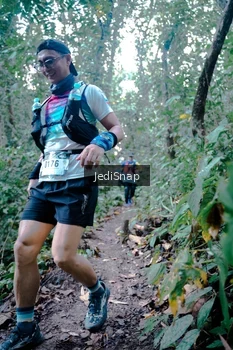 Runner Photo 5245653