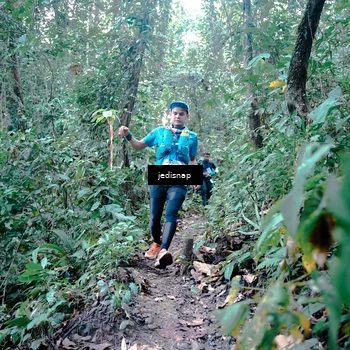 Runner Photo 5245664