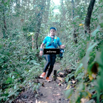 Runner Photo 5245669