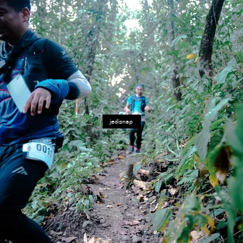 Runner Photo 5245685