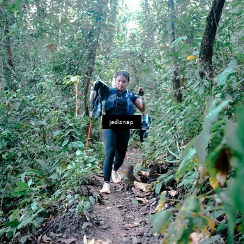 Runner Photo 5245701