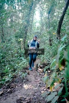 Runner Photo 5245732