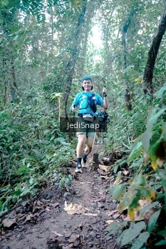 Runner Photo 5245790
