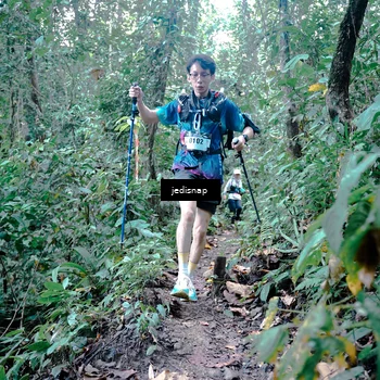 Runner Photo 5245805