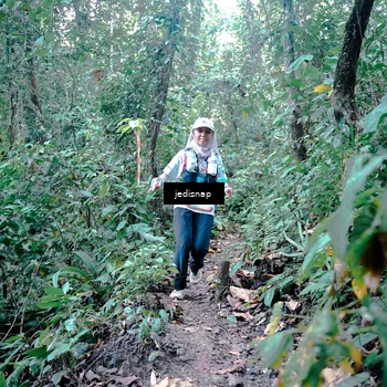 Runner Photo 5245817