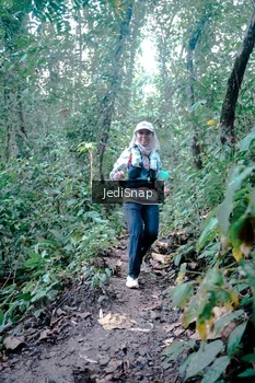 Runner Photo 5245827