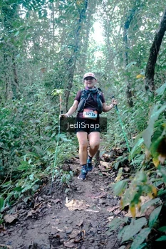 Runner Photo 5245895