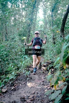 Runner Photo 5245900