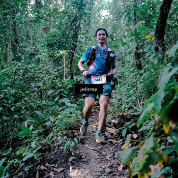 Runner Photo 5245970