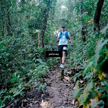 Runner Photo 5246048