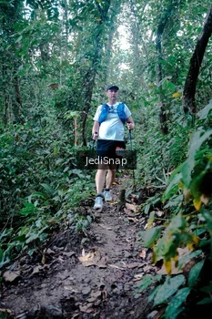 Runner Photo 5246051