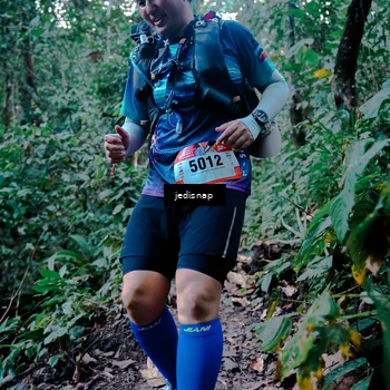 Runner Photo 5246089