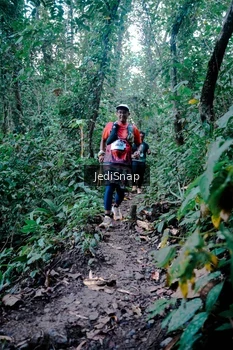 Runner Photo 5246143