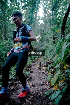 Runner Photo 5246146