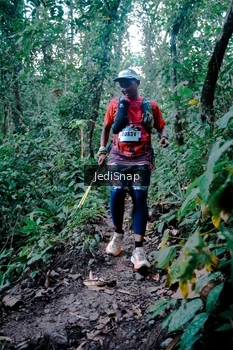 Runner Photo 5246150