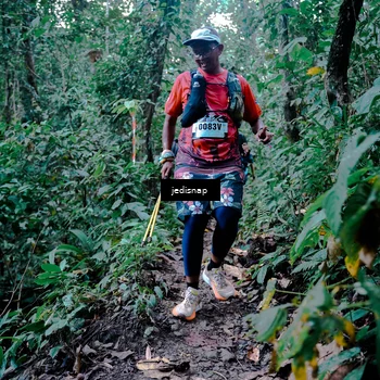 Runner Photo 5246151