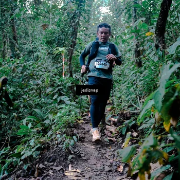 Runner Photo 5246170