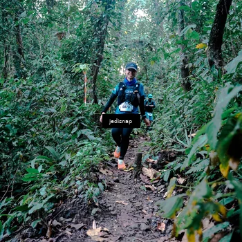 Runner Photo 5246232