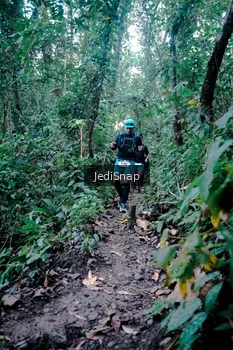 Runner Photo 5246251