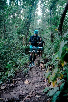 Runner Photo 5246252