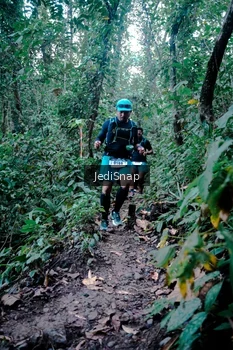 Runner Photo 5246259