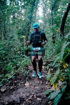 Runner Photo 5246264