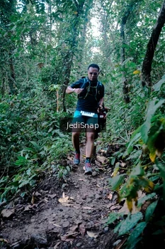 Runner Photo 5246275