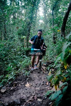 Runner Photo 5246278