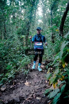Runner Photo 5246324