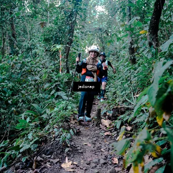 Runner Photo 5246337