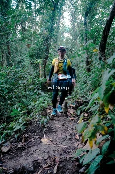 Runner Photo 5246453