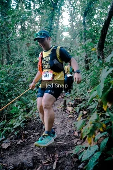 Runner Photo 5246458